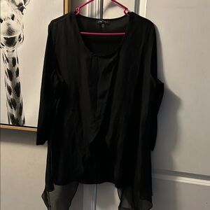 Slinky Brand Black Sheer Blouse